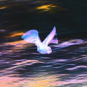 Pigeons (Single)