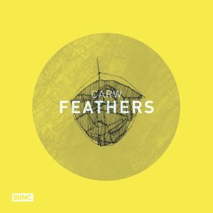 Feathers (Single)
