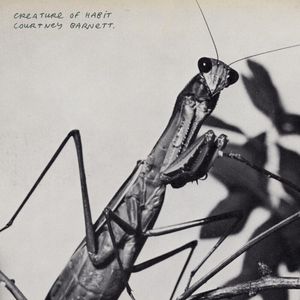 Mantis/Sugar Plum (Single)