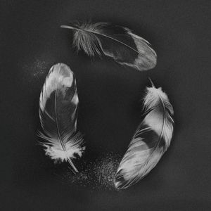 Free (Single)