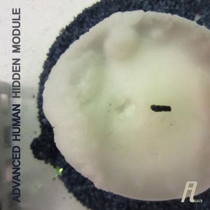 Hidden Module (EP)