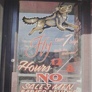 Fly (Single)