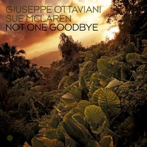 Not One Goodbye (Single)