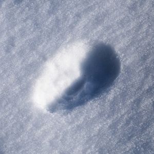 Montréal (Single)