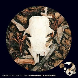 Fragments of Existence