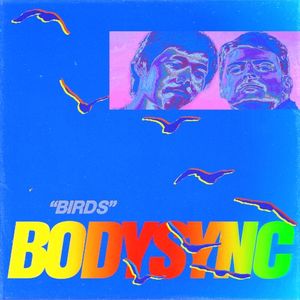 Birds (Single)