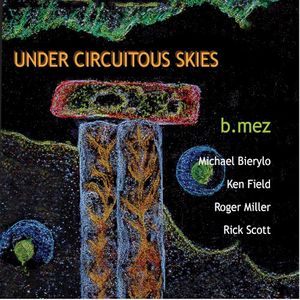 Under Circuitous Skies