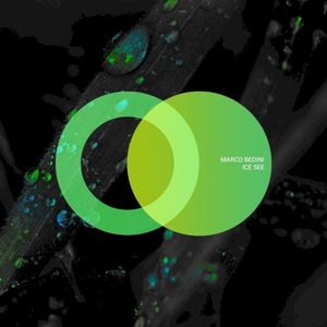 Ice See (Single)