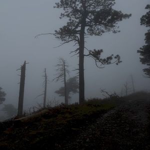Quietly Drowning (Single)