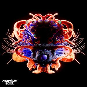 Distorted Love (Single)