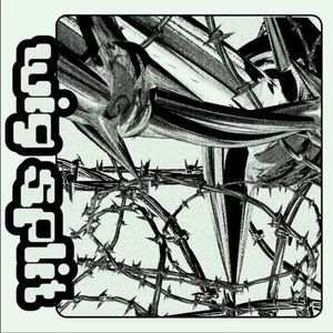 Wig Split (Single)