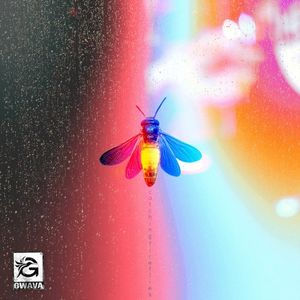 catchingfireflies (Single)