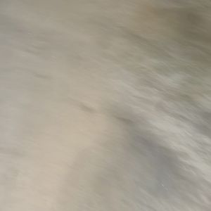 Felt Something (Single)