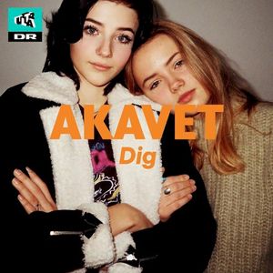 Dig