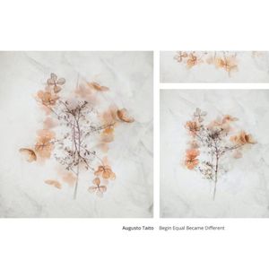 Begin Equal Became Different (EP)