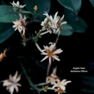 Radiation Effects (EP)