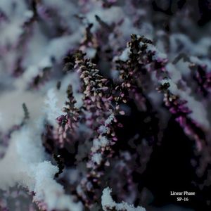 SP-16 (EP)