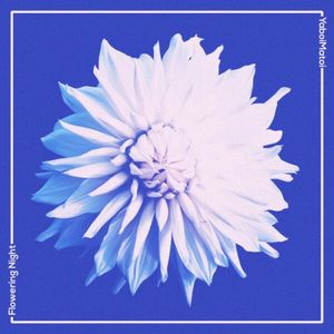 Flowering Night (Single)