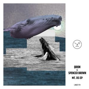 MT. DS EP (EP)