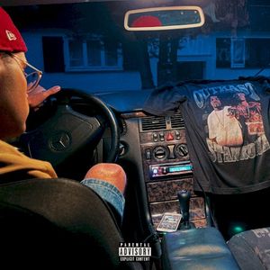 Auxkabel (Single)