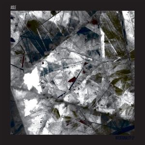 Intentionality EP (EP)