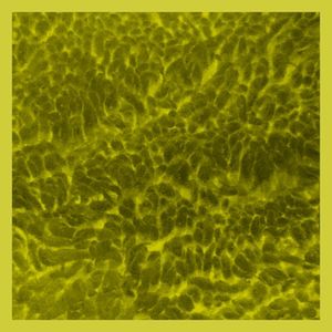 faxème