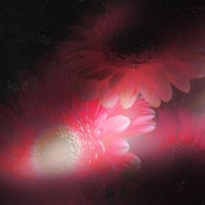Sweetest Issue (Single)
