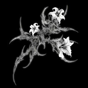 fading lights (Single)