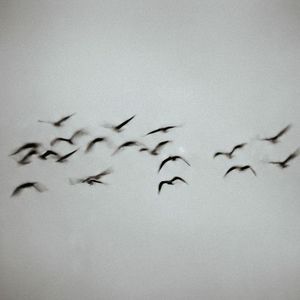 Sign (Revision) (Single)