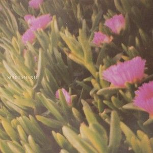 Súbitamente (Single)