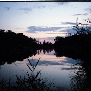 bifurca (Single)
