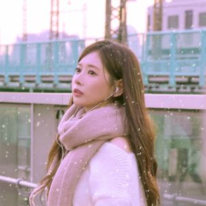 Muffler (Single)