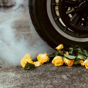 Yellow Roses (Single)