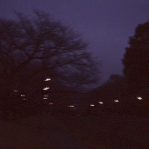 Pale Quiet (Single)