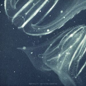 Daniel[i] Revisits Saebius (EP)