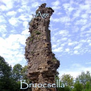 Bruocsella