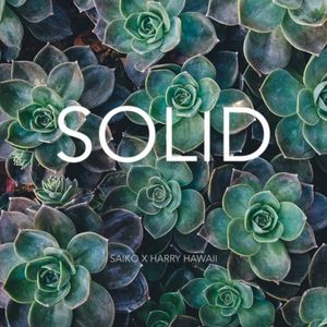 Solid (Single)