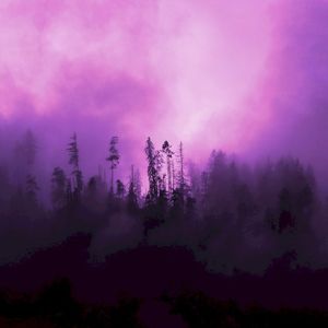 ECCO2K (Single)