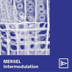 Intermodulation (EP)