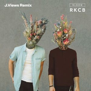 Bloom (J.Views Remix) (Single)