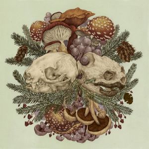 Sloth & Turtle (EP)