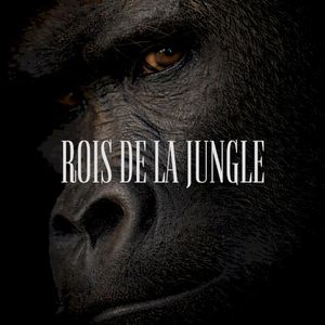 ROIS DE LA JUNGLE (Single)