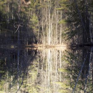 LEM : Volume 1, January 2010 (EP)