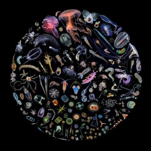 Racing Extinction (OST)