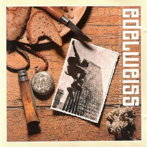 Bring Me Edelweiss (Single)