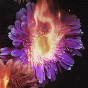 Last Dance (Single)