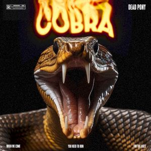 COBRA (Single)