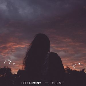 Micro (Single)
