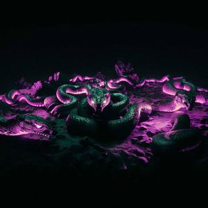 SNAKE (Single)
