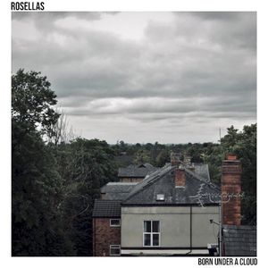 Tell You What I Think (acoustic)